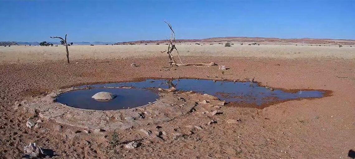 Медленное телевидение: зачем смотреть видео с поездами и со спящим медведем