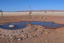 Медленное телевидение: зачем смотреть видео с поездами и со спящим медведем