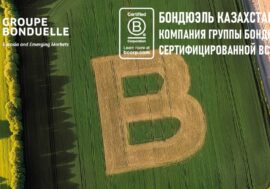 Bonduelle получила международную сертификацию B Corp™ — и усиливает фокус на здоровом питании